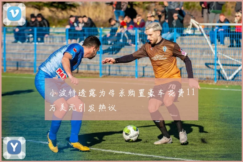 小波特透露为母亲购置豪车花费11万美元引发热议